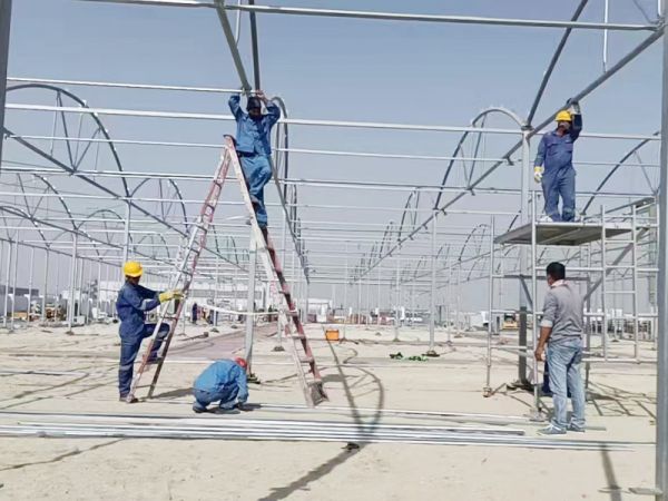 دراسات حالة العملاء
