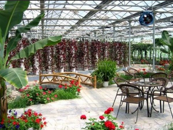ecological restaurant
