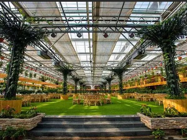 ecological restaurant