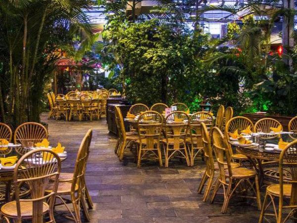 ecological restaurant