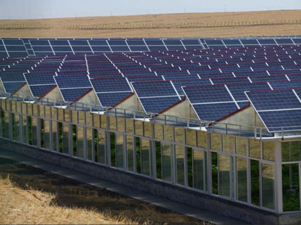  Photovoltaic greenhouse