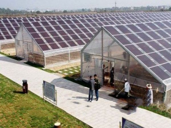  Photovoltaic greenhouse
